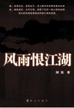 风雨恨江湖 封面