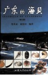 广东的海贝  修订版 封面