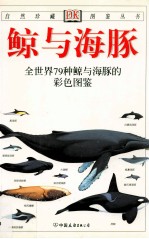 鲸与海豚 封面