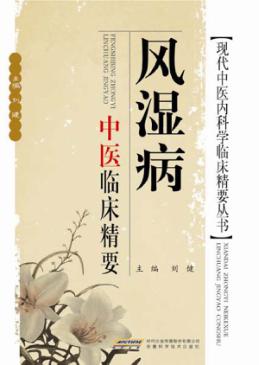 风湿病中医临床精要 封面