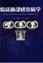 临床肺部感染病学 封面