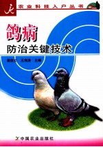 鸽病防治关键技术 封面