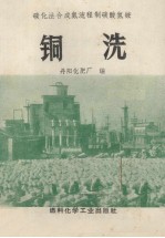 碳化法合成氨流程制碳酸氢铵  铜洗 封面