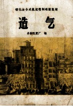 碳化法合成氨流程制碳酸氢铵  造气 封面