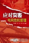 应对灾害—电网危机管理 封面