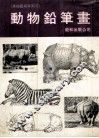动物素描  大动物篇 封面