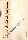 王天义书法集 封面