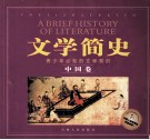 文学简史 The illustrated 中国卷 封面