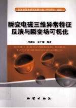 瞬变电磁三维异常特征反演与瞬变场可视化 封面