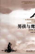 男孩与鹰 封面