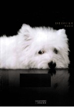 回来吧，可莫 封面