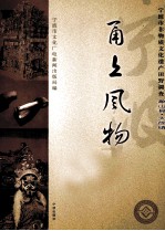 甬上风物  宁波市非物质文化遗产田野调查  象山县·大徐镇 封面