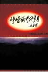 峥嵘的井冈岁月 封面