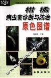 柑橘病虫害诊断与防治原色图谱 封面