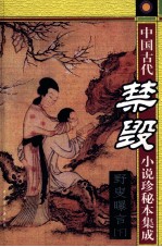 中国古代禁毁小说珍秘本集成  野叟曝言  下 封面