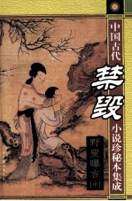 中国古代禁毁小说珍秘本集成  野叟曝言  中 封面
