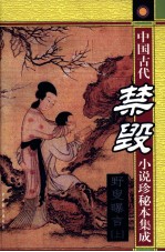 中国古代禁毁小说珍秘本集成  野叟曝言  上 封面