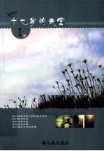 十七岁的天空 封面