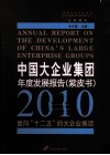 中国大企业集团年度发展报告（紫皮书）  2010 封面