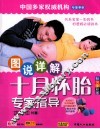 图说详解十月怀胎专家指导 封面