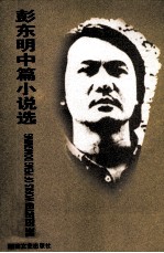 彭东明中篇小说选 封面
