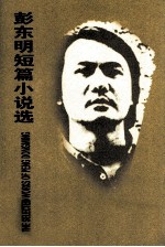 彭东明短篇小说选 封面