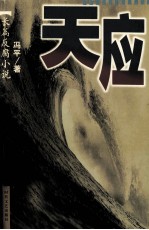 天应 封面