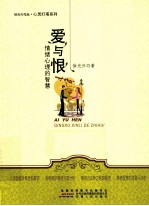 爱与恨  情绪心理的智慧 封面