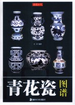 读图时代  青花瓷图谱 封面
