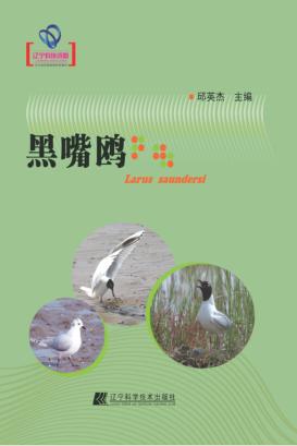 黑嘴鸥  辽宁省优秀自然科学著作 封面