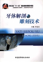 牙体解剖与雕刻技术 封面