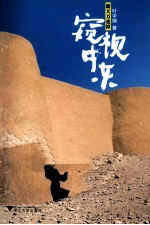 新天方夜谭  窥视中东 封面