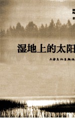 湿地上的太阳 封面