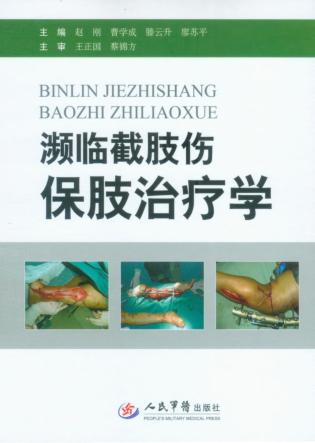 濒临截肢伤保肢治疗学 封面