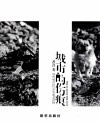 城市的伤痕  那些城市拆迁中的流浪动物 封面