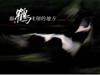 仙鹤飞翔的地方中国鹤城  齐齐哈尔 封面