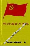料村革命斗争史 封面