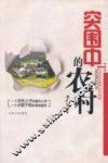 突围中的农村 封面