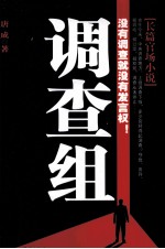 调查组 电子书封面