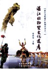 湛江非物质文化遗产 封面