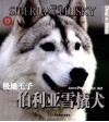 极地王子：西伯利亚雪橇犬 封面