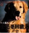 阳光情人：金毛寻回猎犬 封面