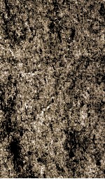 书经  监本书经  卷2-3 封面