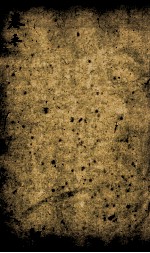 监本礼记  卷5 封面