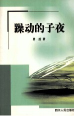 躁动的子夜 封面