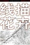 线描花卉 封面