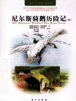 尼尔斯骑鹅历险记  中 封面