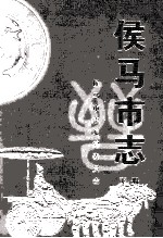 侯马市志  下 封面