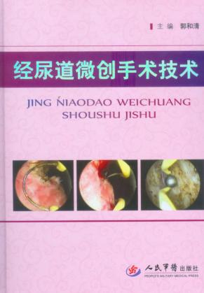 经尿道微创手术技术 封面