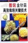 图说金针菇高效栽培关键技术 封面